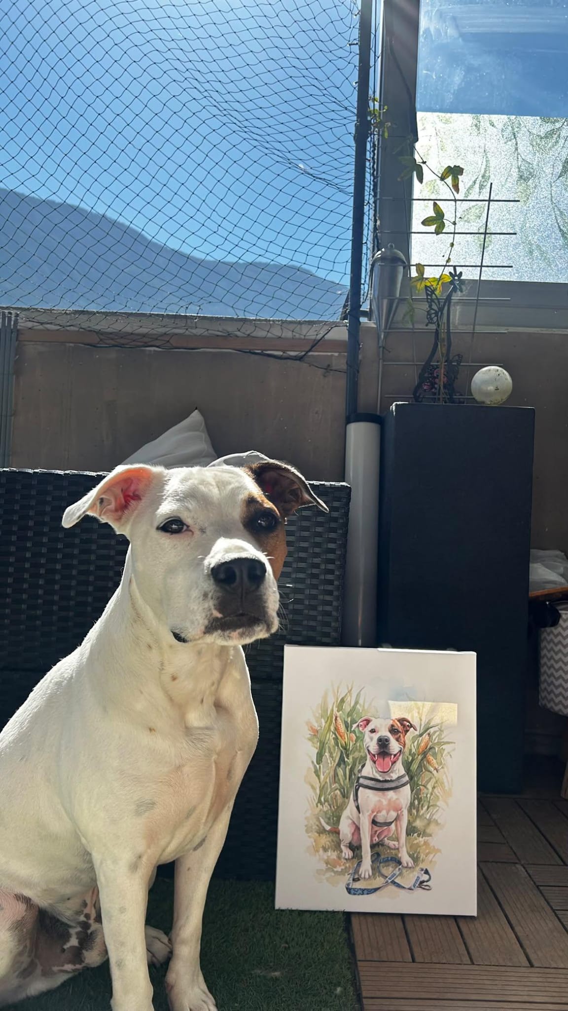 Loky avec son portrait personnalisé